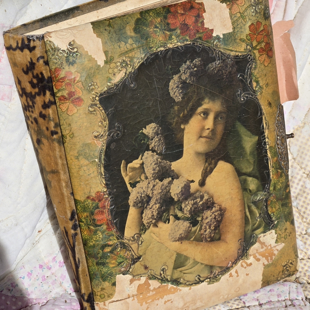 Victorian 1800's Photo Album W/Chebum & Floral Front, Velour Back Tintype Photos